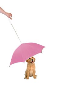 Pour-Protection Umbrella With Reflective Lining And Leash Holder (SKU: 1UMBPKW)